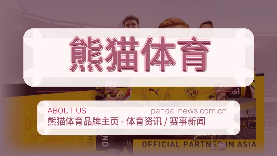 熊猫体育观赛交流服务说明